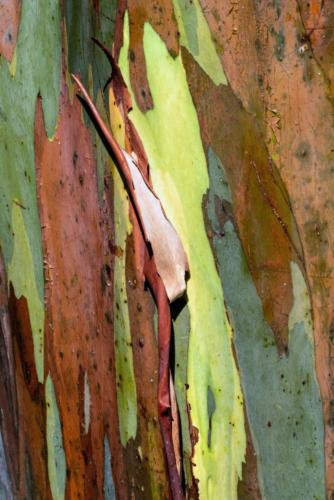 david-clode-uSqcxh1RFHc-unsplash-scaled